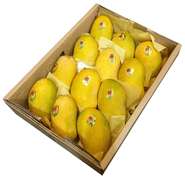 White Chaunsa Mango – The Creamy Crown Jewel of Pakistan