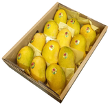 White Chaunsa Mango – The Creamy Crown Jewel of Pakistan