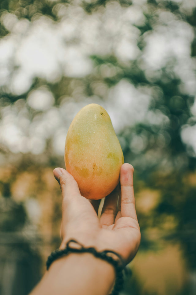 White Chaunsa Mango – The Creamy Crown Jewel of Pakistan