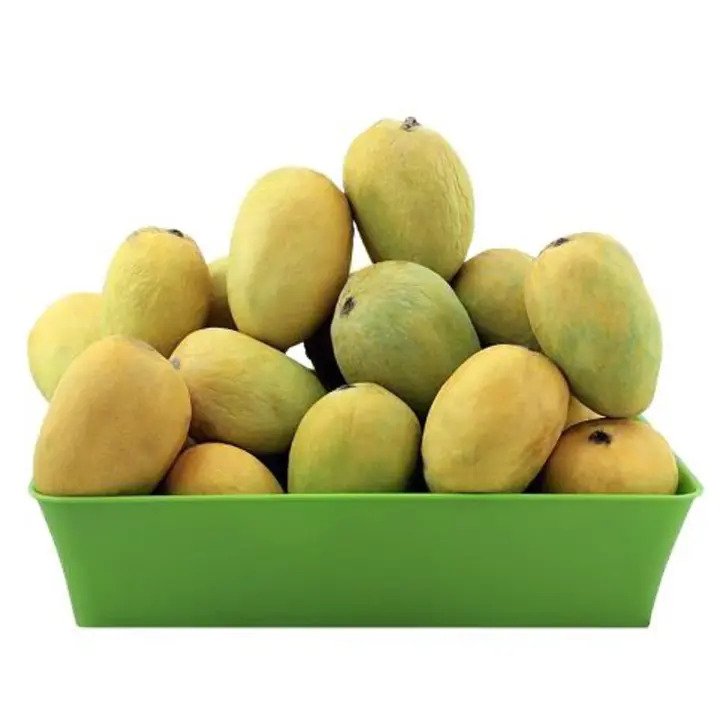 Anwar Ratol Mango – Pakistan’s “Mini Powerhouse”