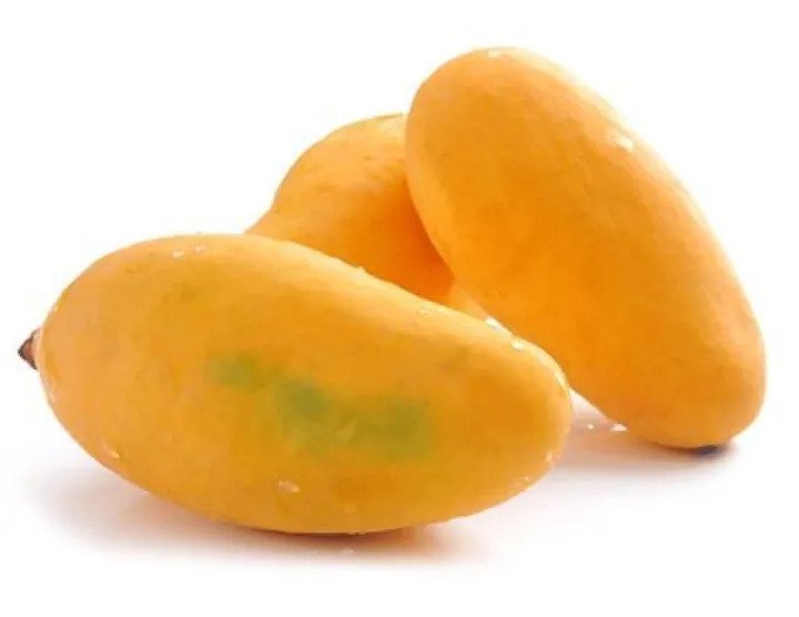 Chaunsa Mango – Pakistan’s “Mango of Paradise”