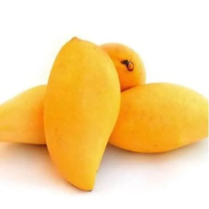 Premium Sindhri Mango – Pakistan’s Queen of Mangoes
