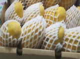 Anwar Ratol Mango – Pakistan’s “Mini Powerhouse”
